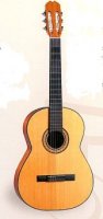 [Guitare Classique Alvaro 30]